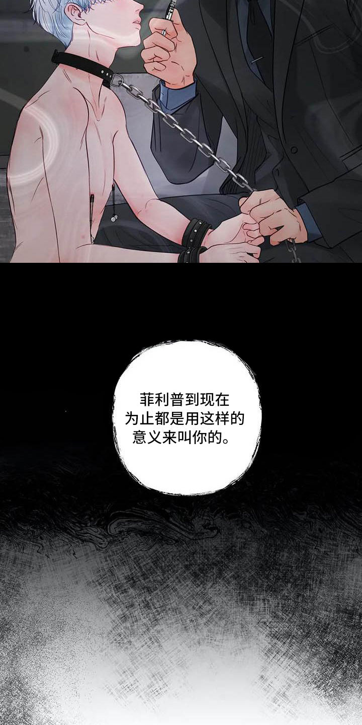 第20章：驯养：心爱的19