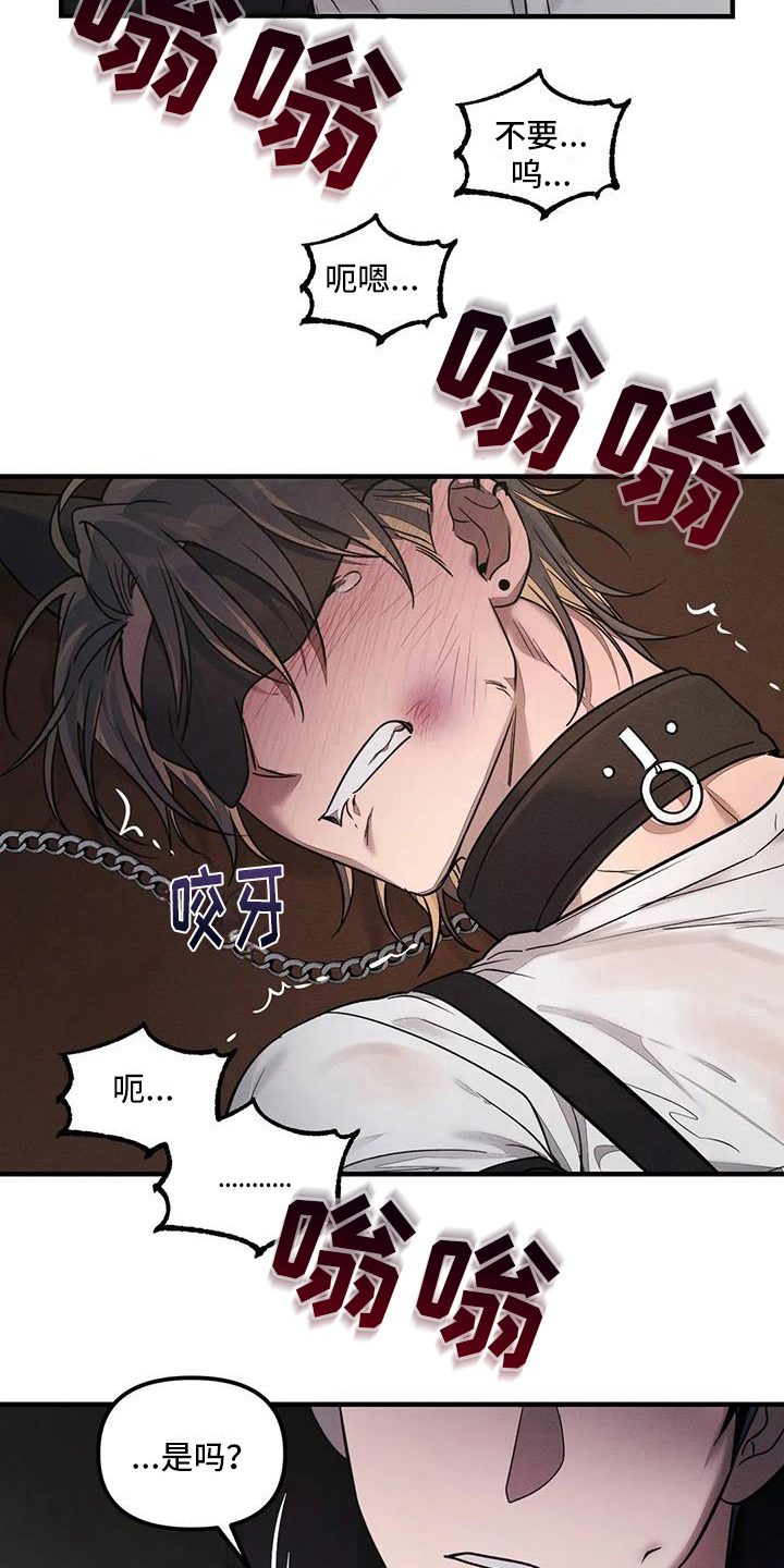 第59章：养狗：有趣14