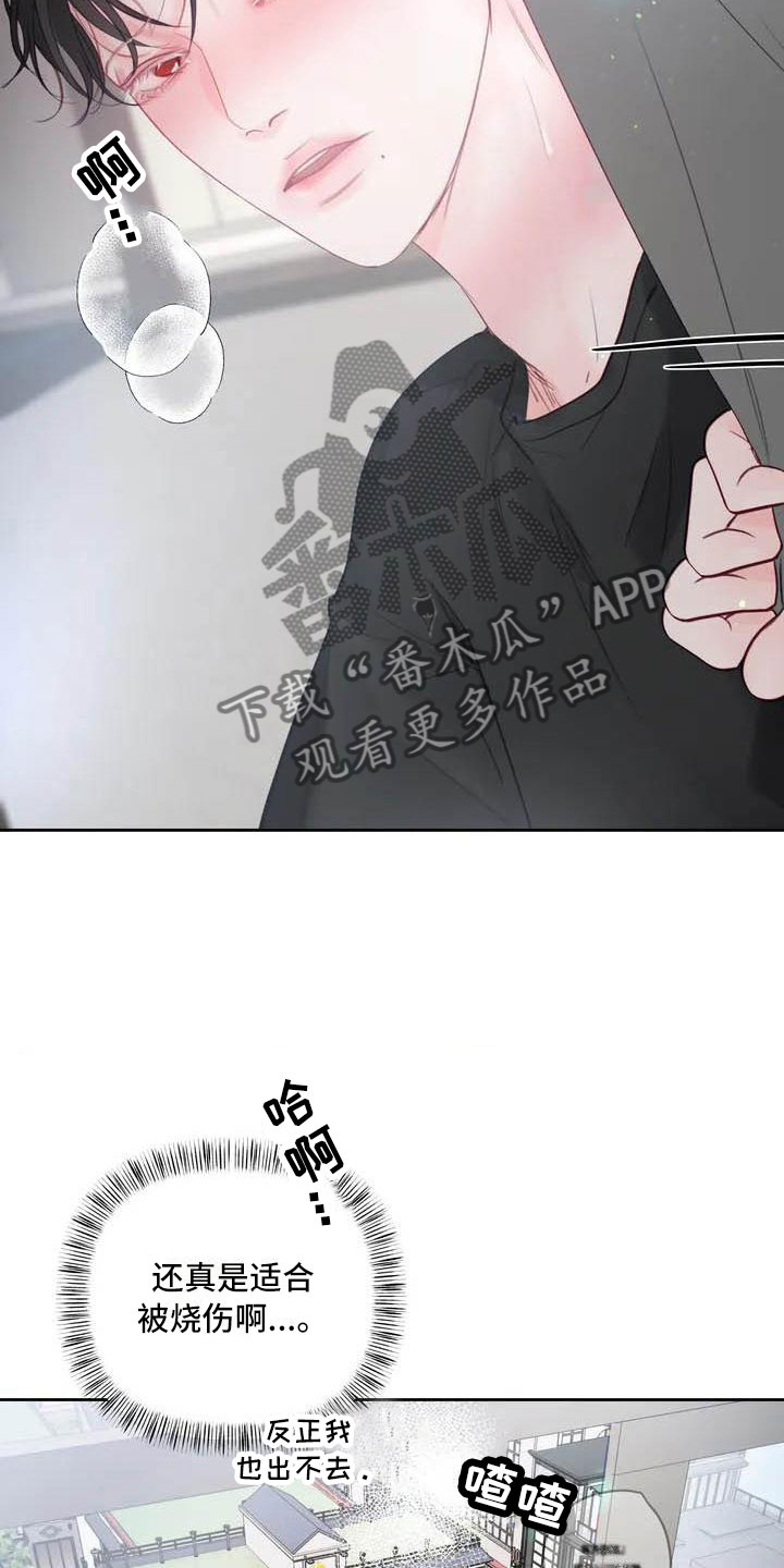 第17章：驯养：家畜13