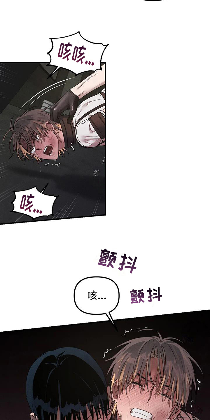 第62章：养狗：输了12