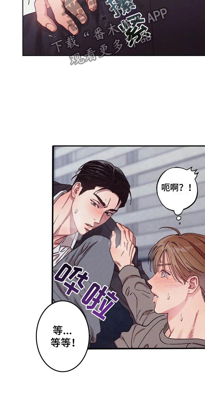 第71章：请，糖果！：失去理智13