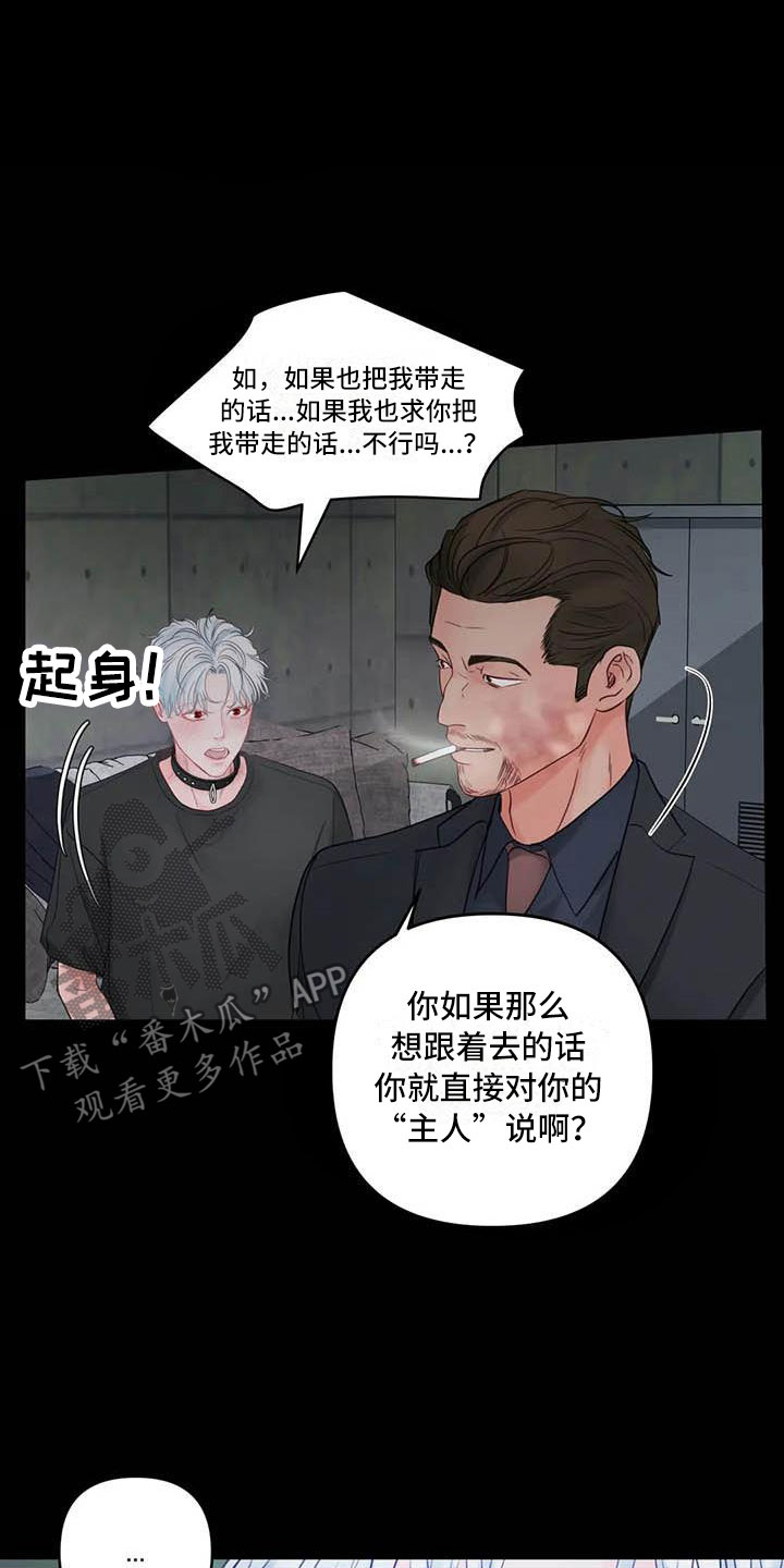 第20章：驯养：心爱的7