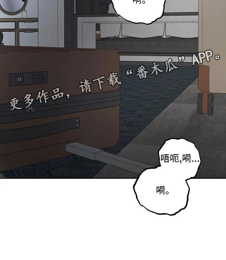 第19章：驯养：我想要的24