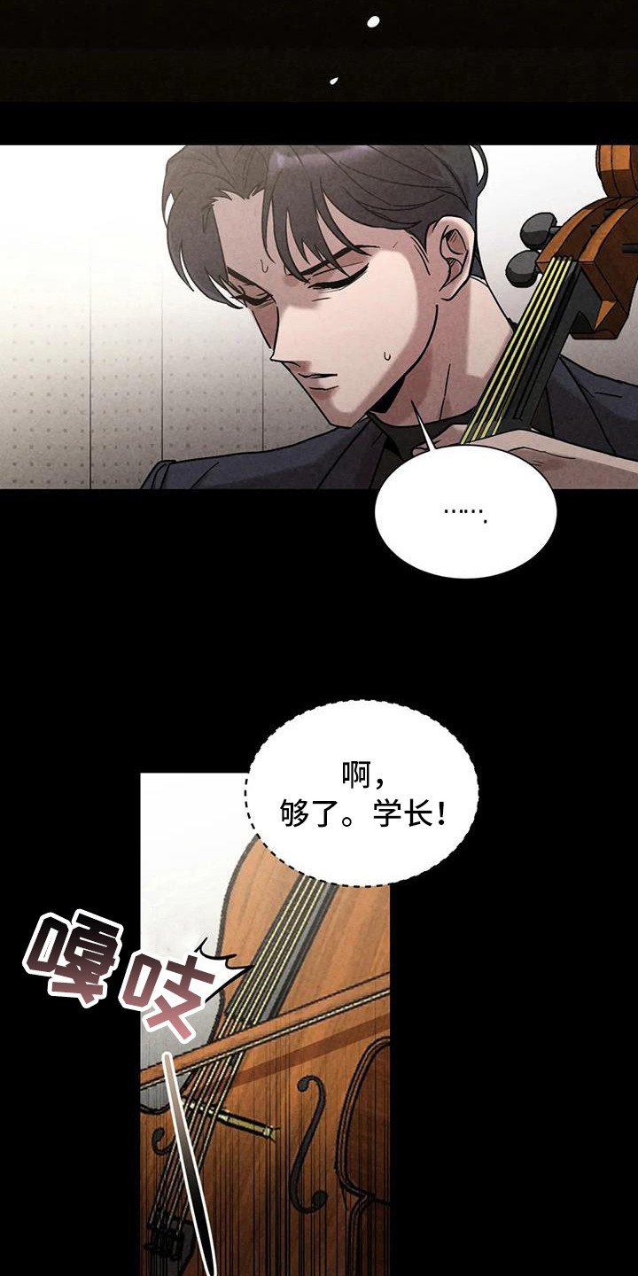 第37章：锻造中的摇滚：大提琴12