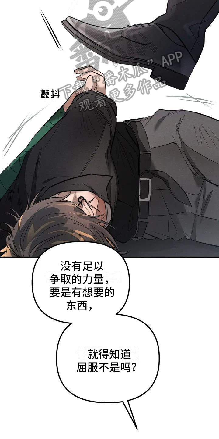 第56章：养狗：期待5
