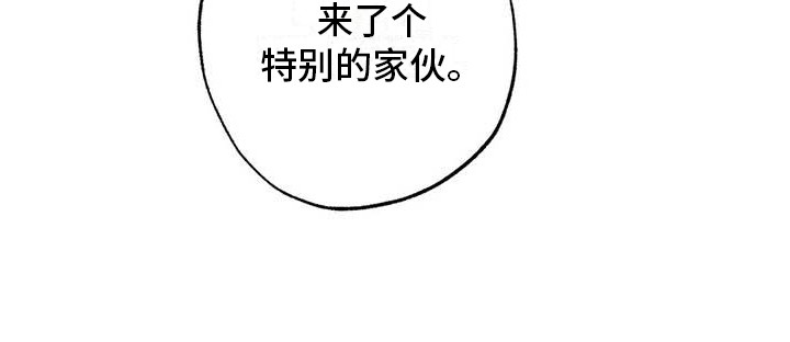 第45章：幸运！管家：见钱眼开22