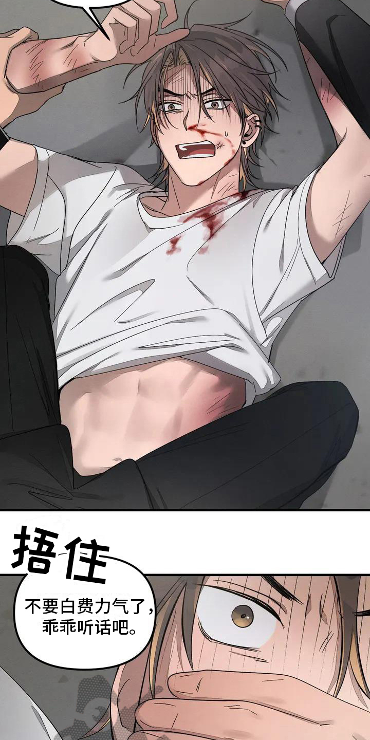 第57章：养狗：受伤5