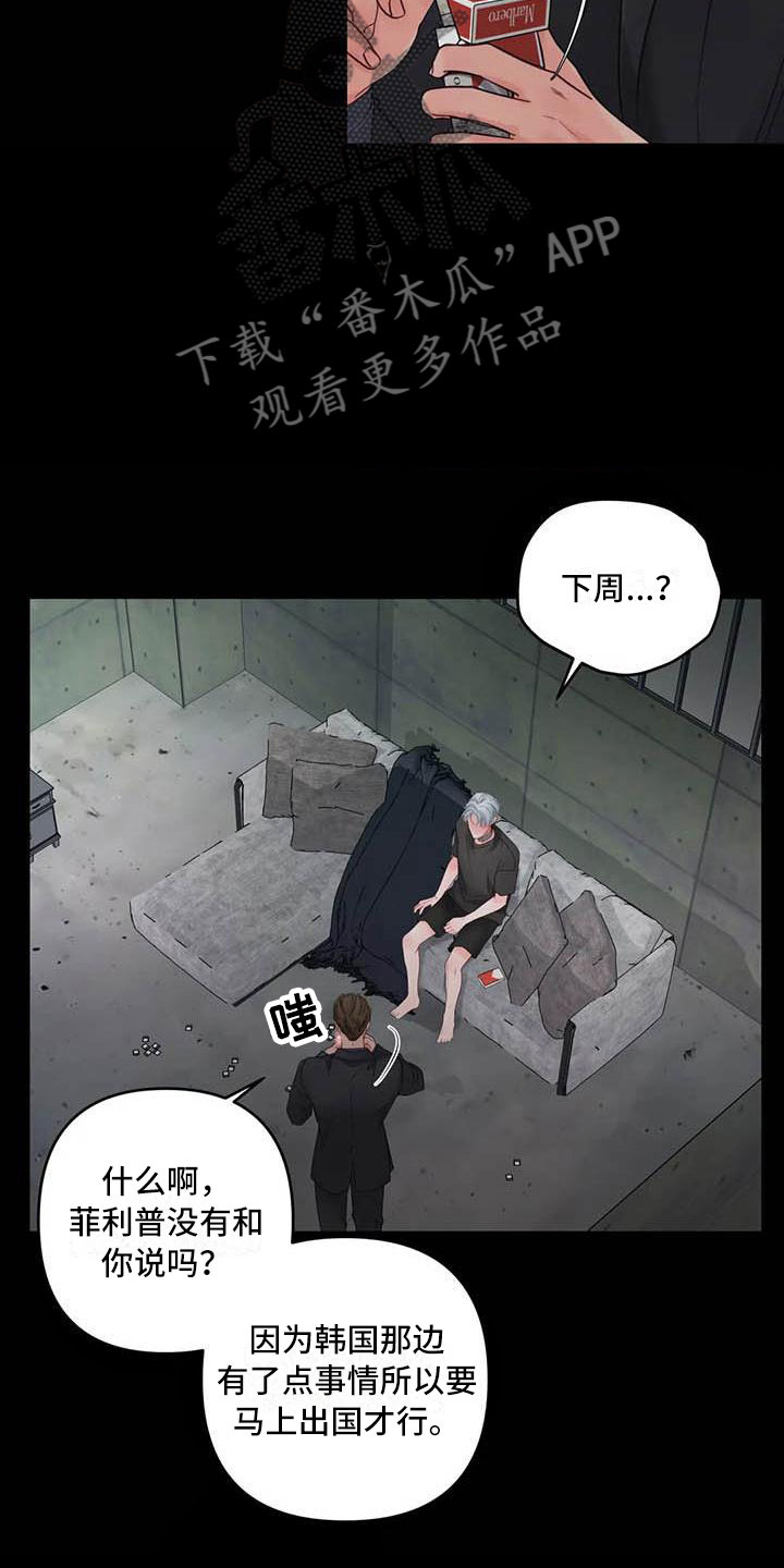 第20章：驯养：心爱的5