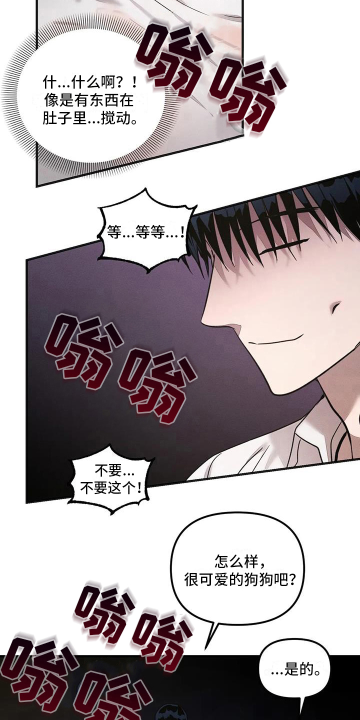 第59章：养狗：有趣12