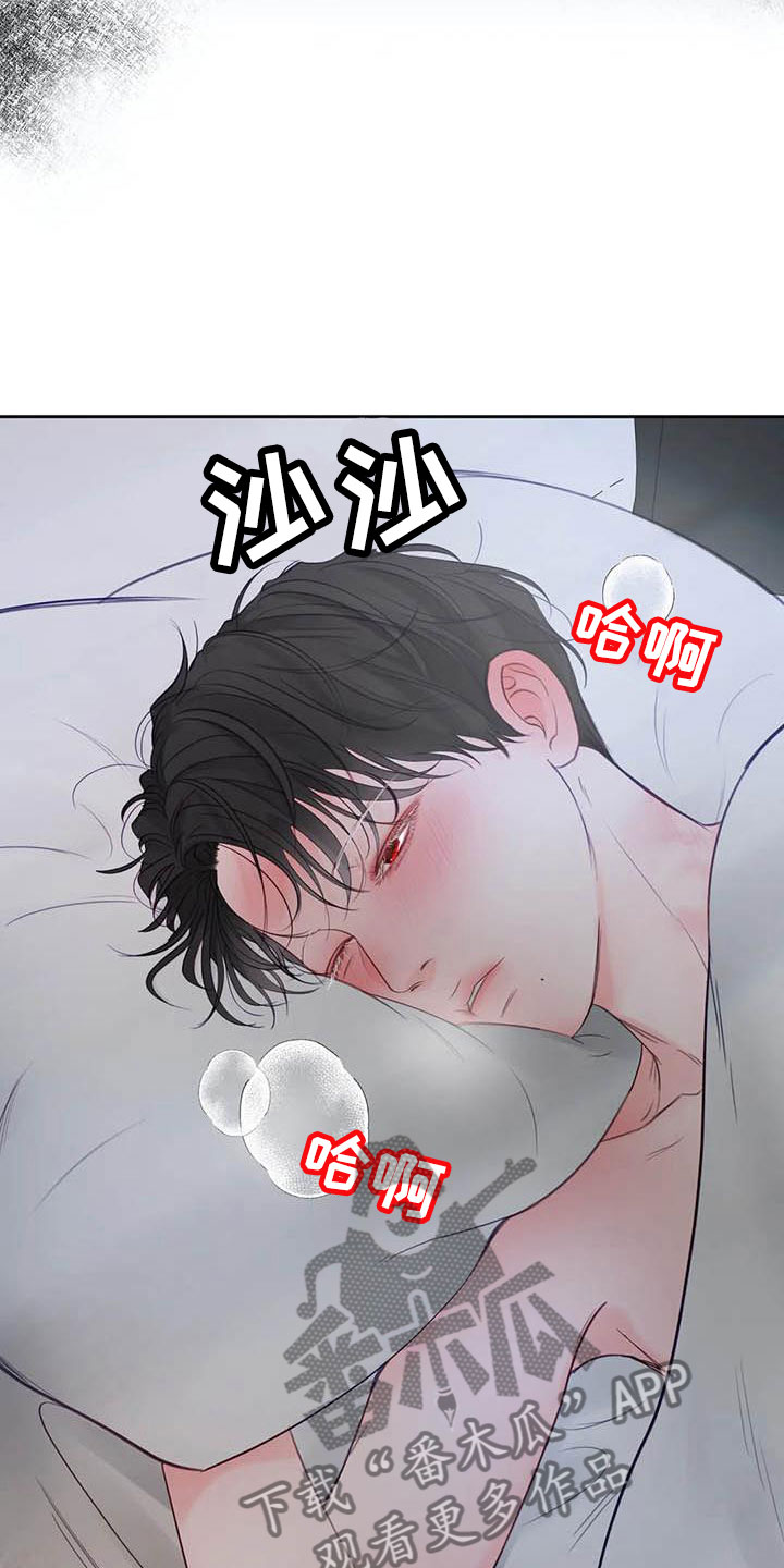 第20章：驯养：心爱的20