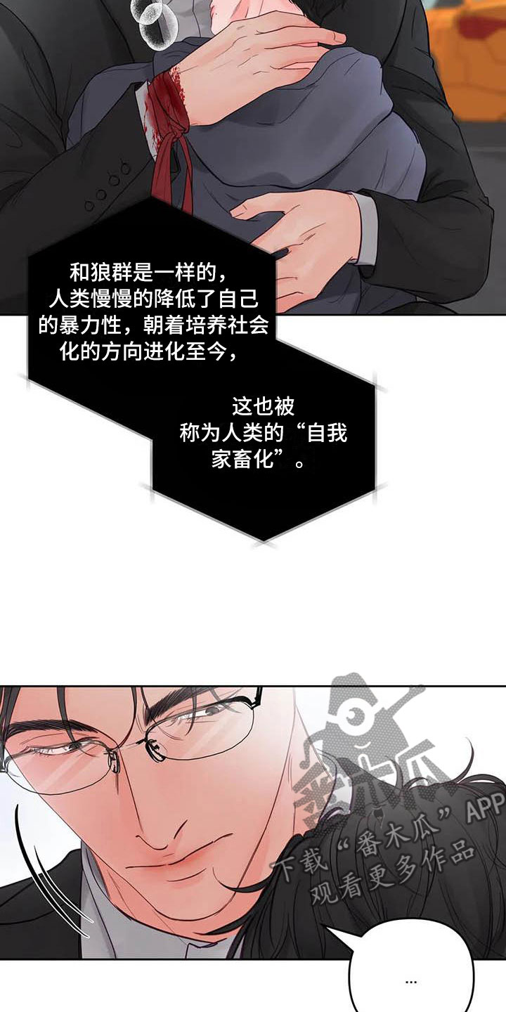 第24章：驯养：驯服(完)11