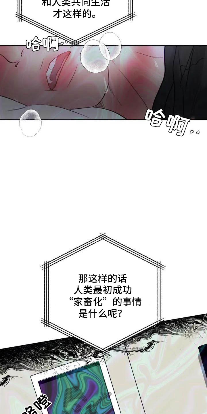第17章：驯养：家畜21