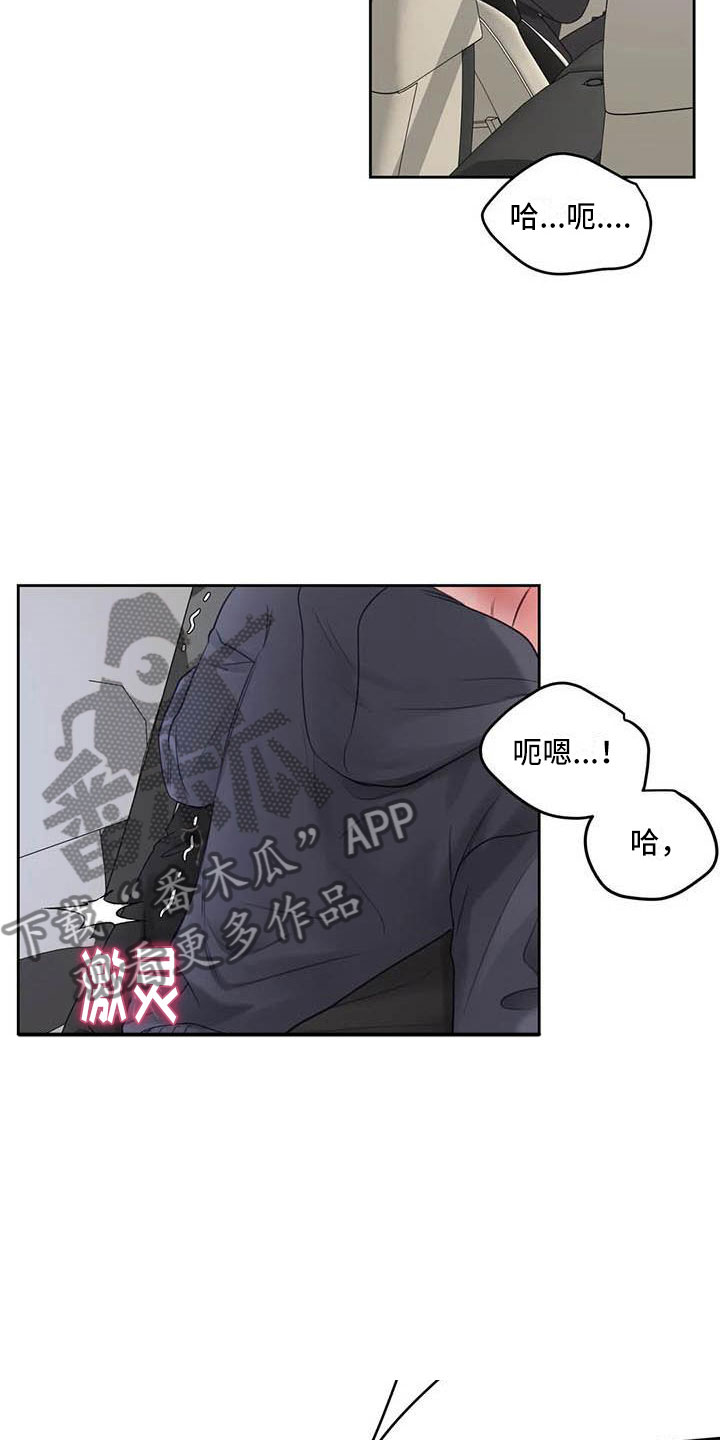 第21章：驯养：车上17