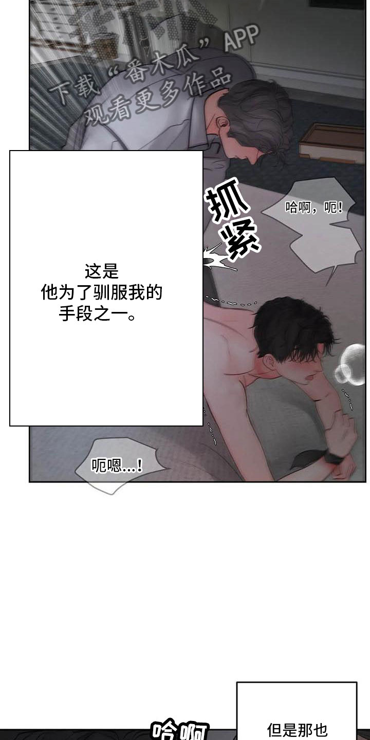 第19章：驯养：我想要的18