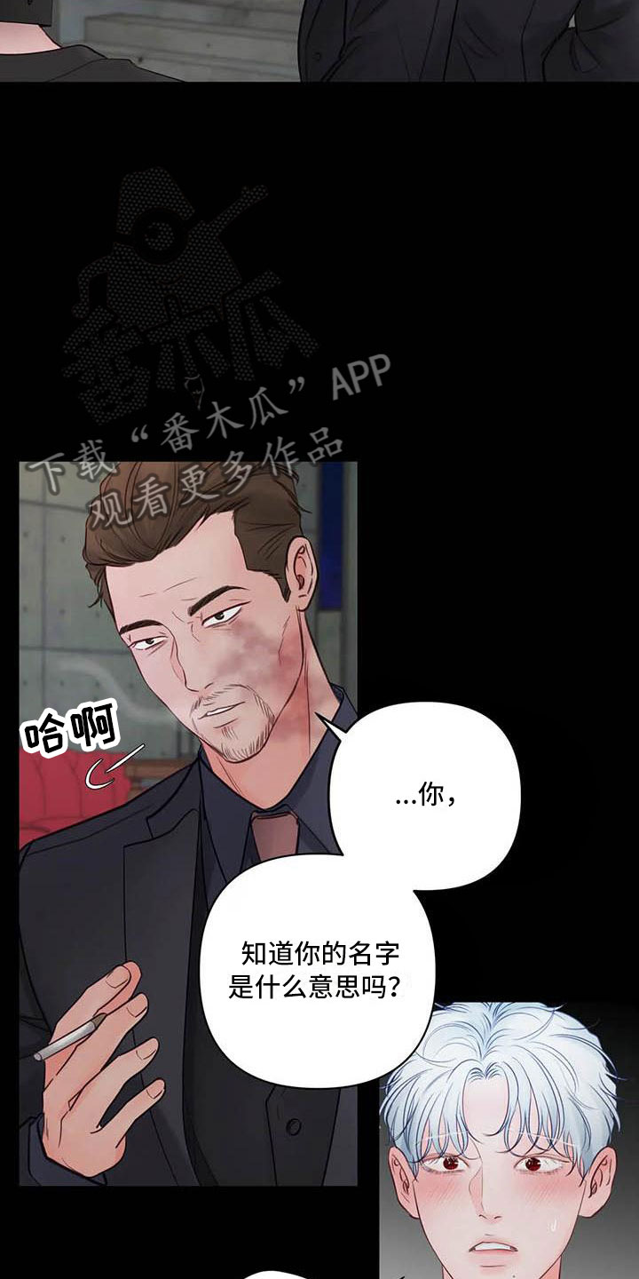 第20章：驯养：心爱的9