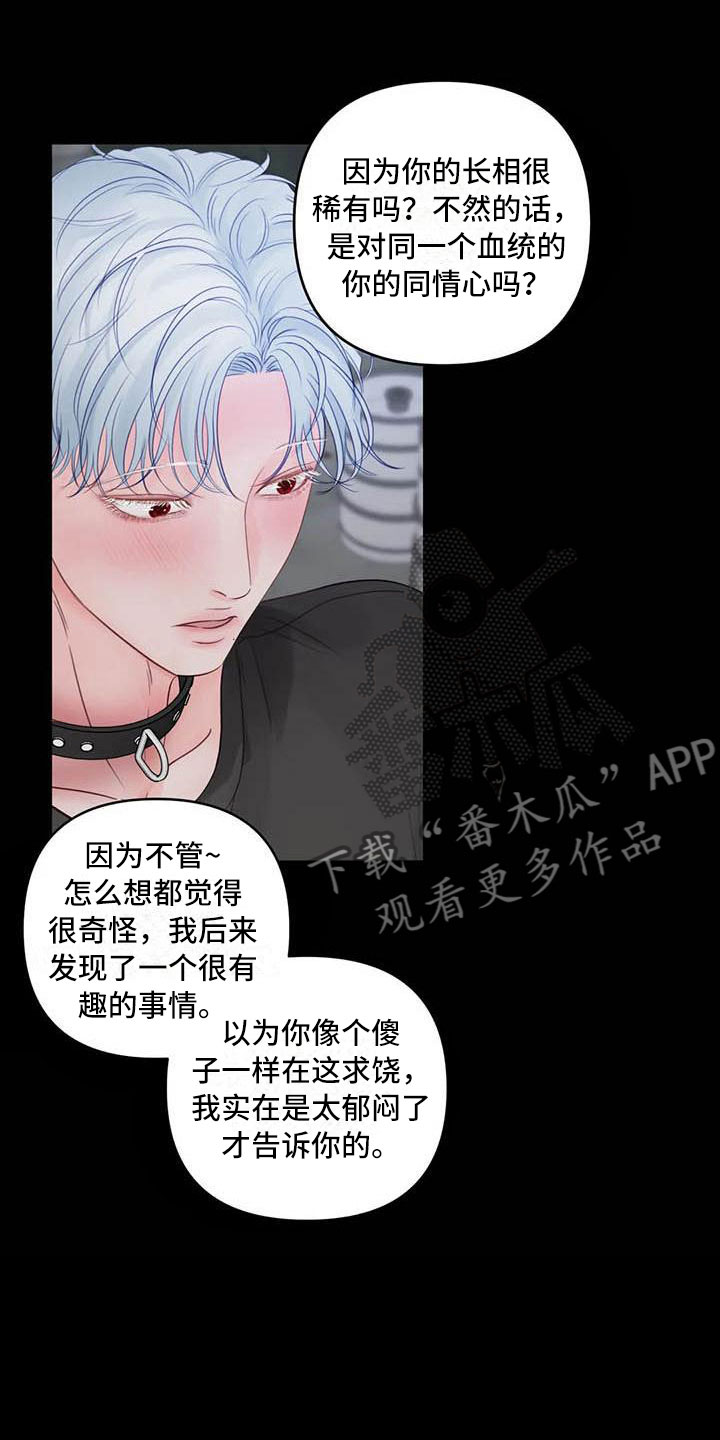 第20章：驯养：心爱的17