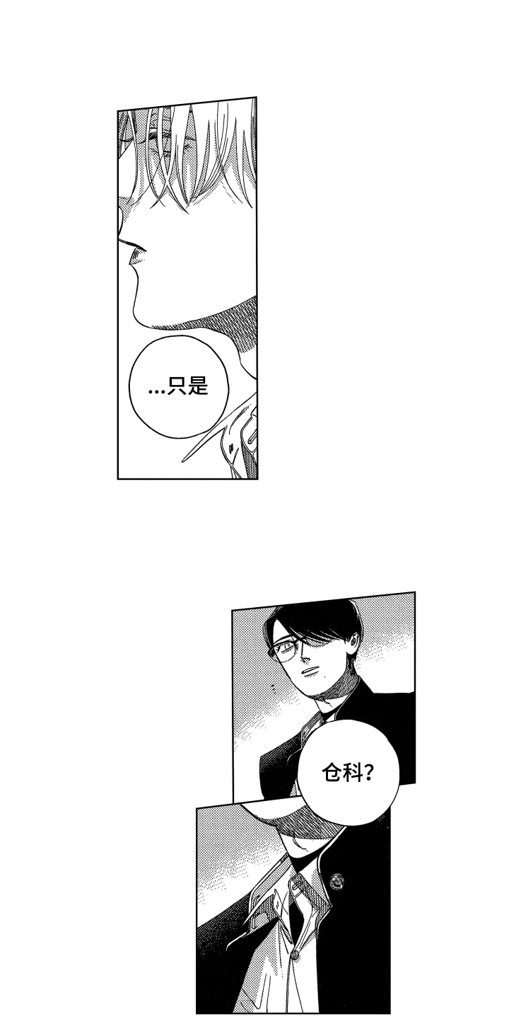 第15章：命令6