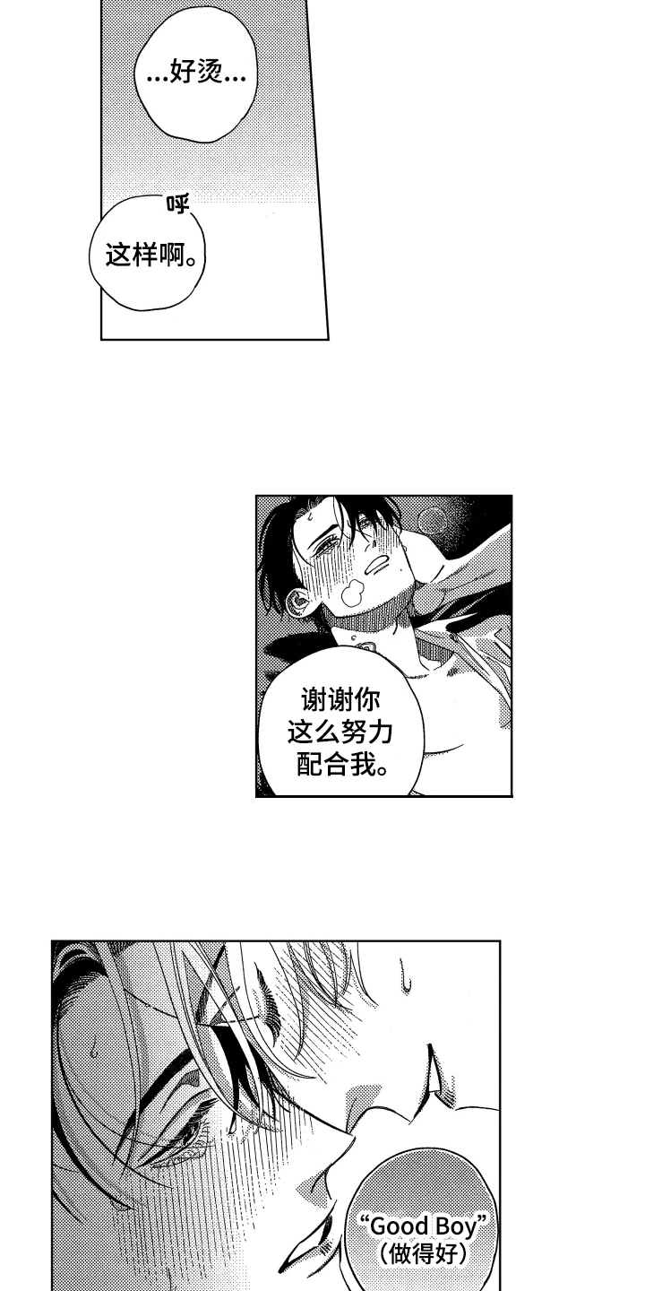 第19章：配合12