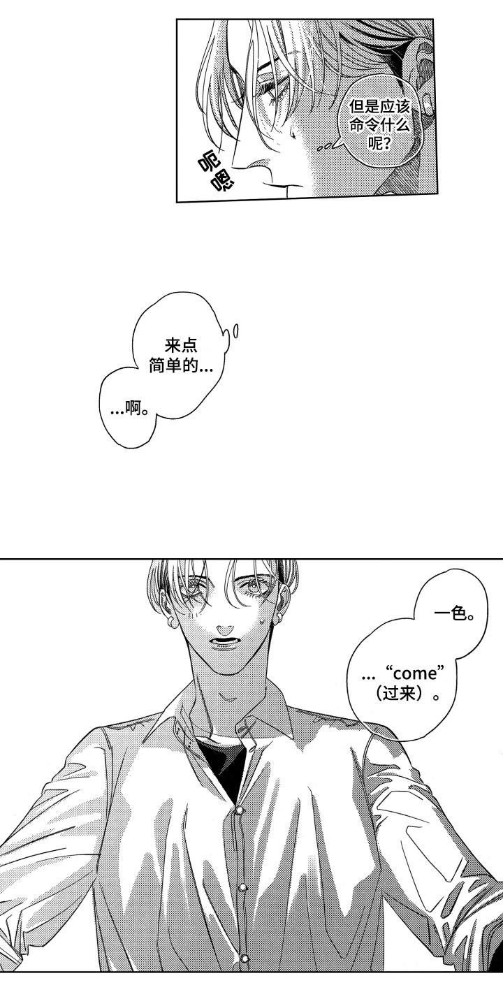 第3章：交流6