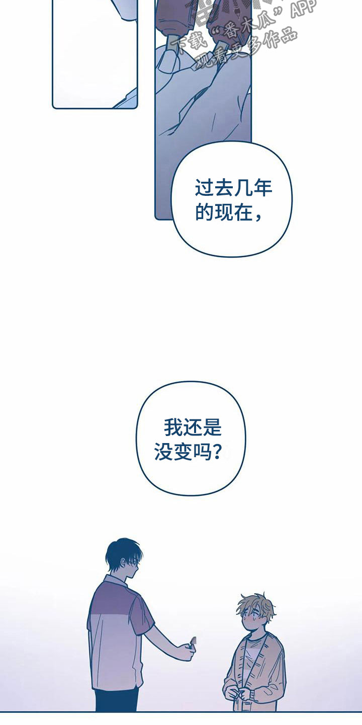 第11章：喜欢24