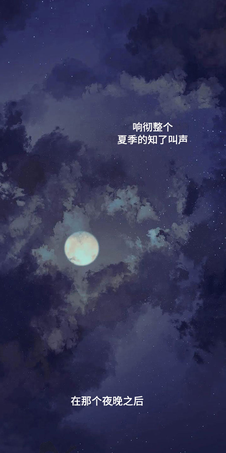 第11章：喜欢31