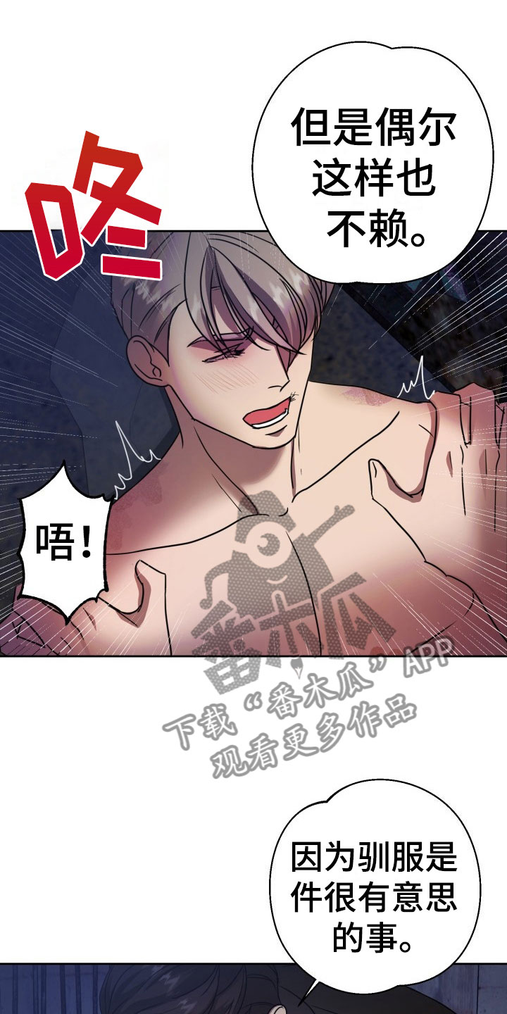 第11章：绝密逃生：另一只老鼠6