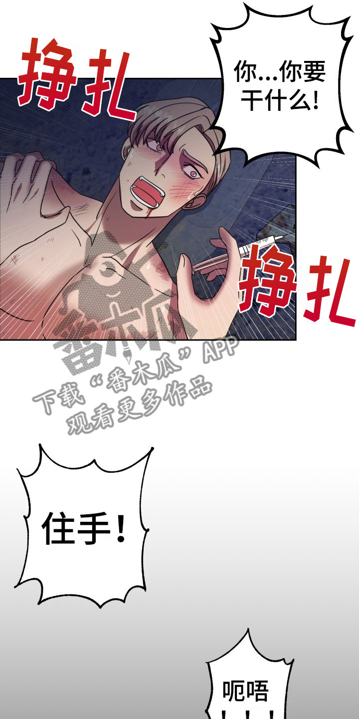 第11章：绝密逃生：另一只老鼠8