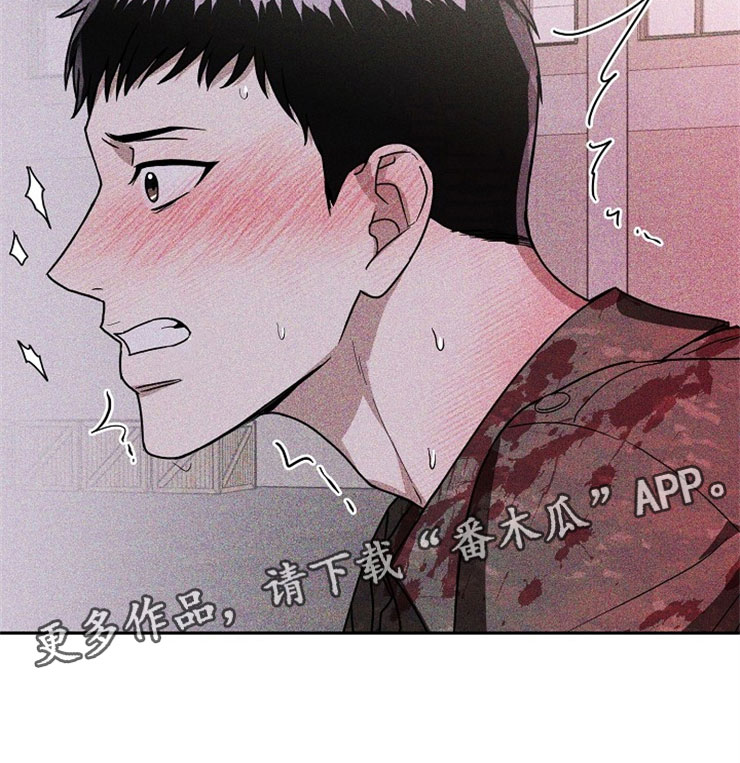 第24章：在下雨天：抗体19