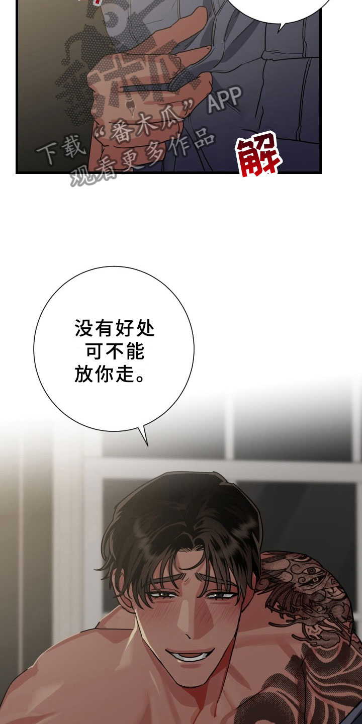 第5章：逮捕甜心：将你逮捕19