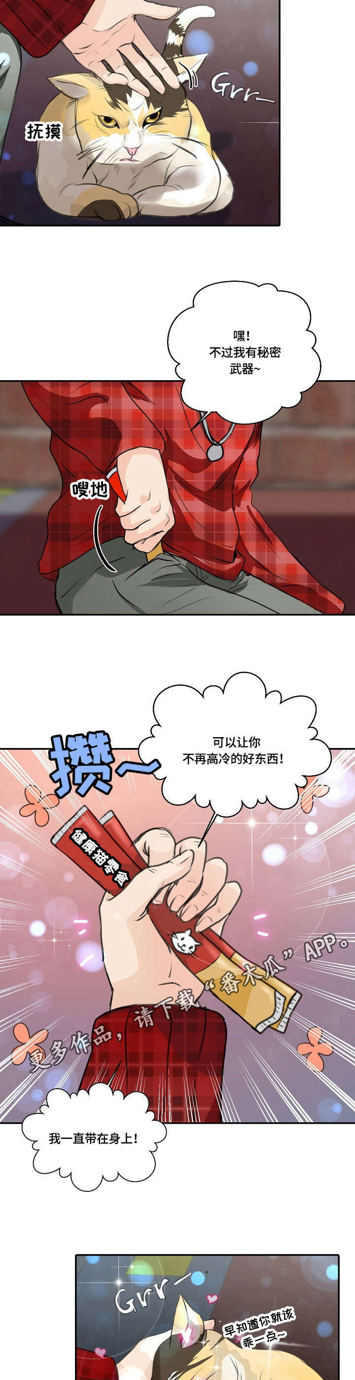 第25章：猫老大8