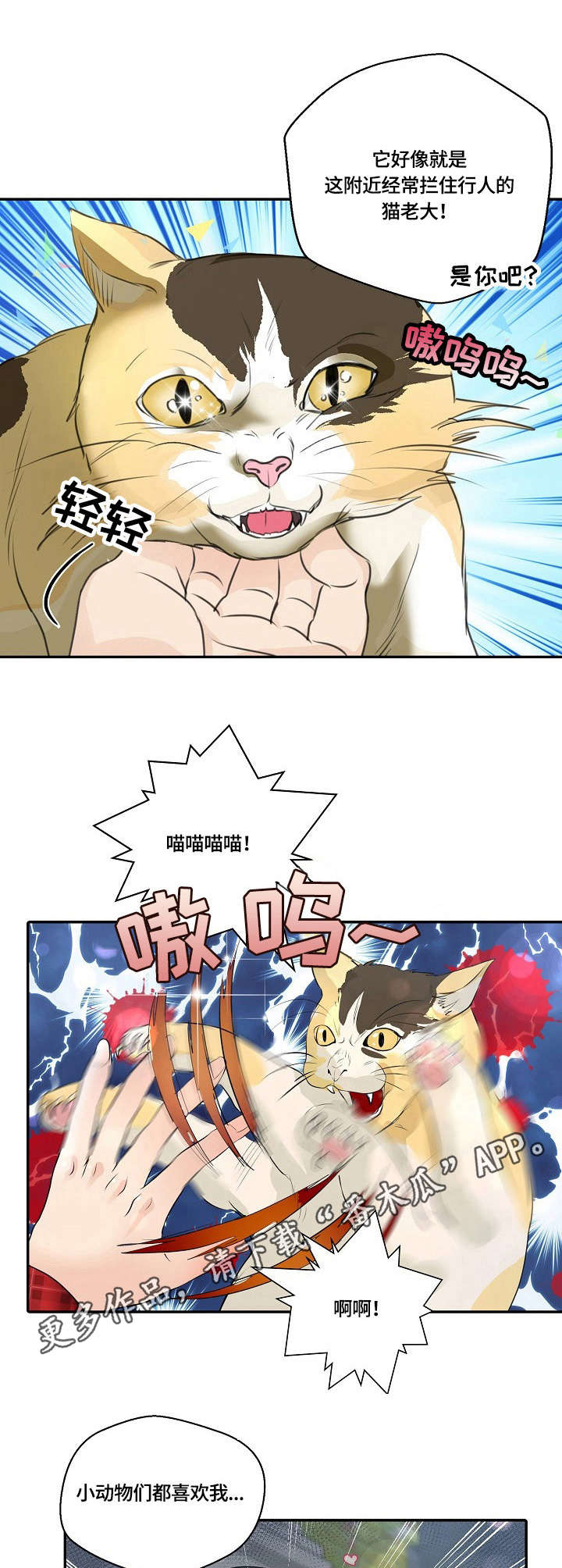 第25章：猫老大4