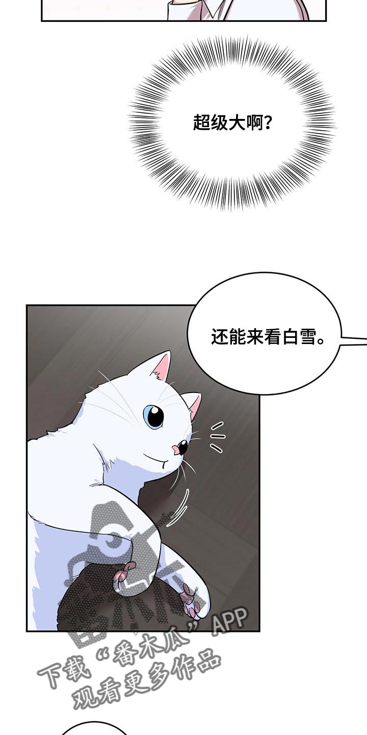 第33章：解决的办法10