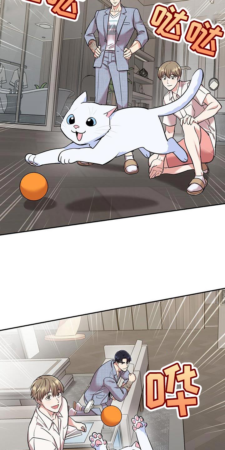 第38章：逗猫17