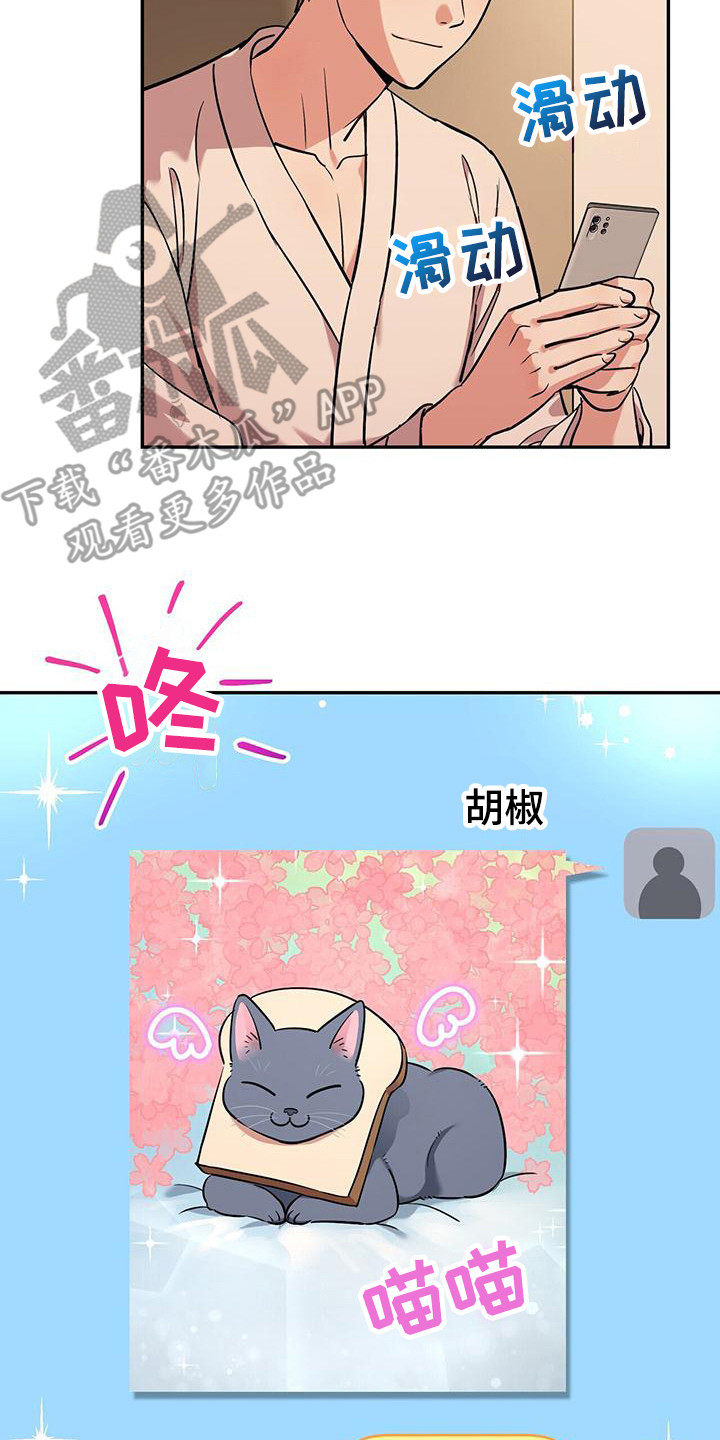 第19章：相互理解8