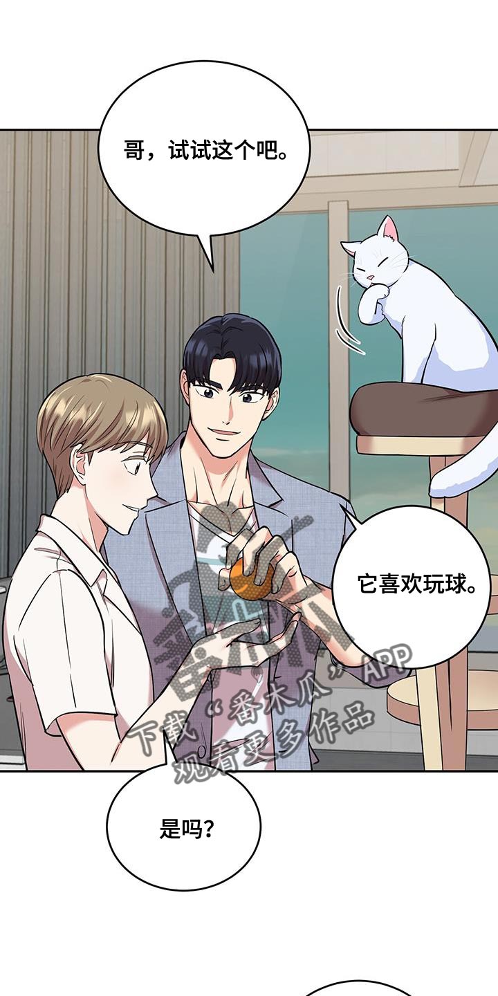 第38章：逗猫15