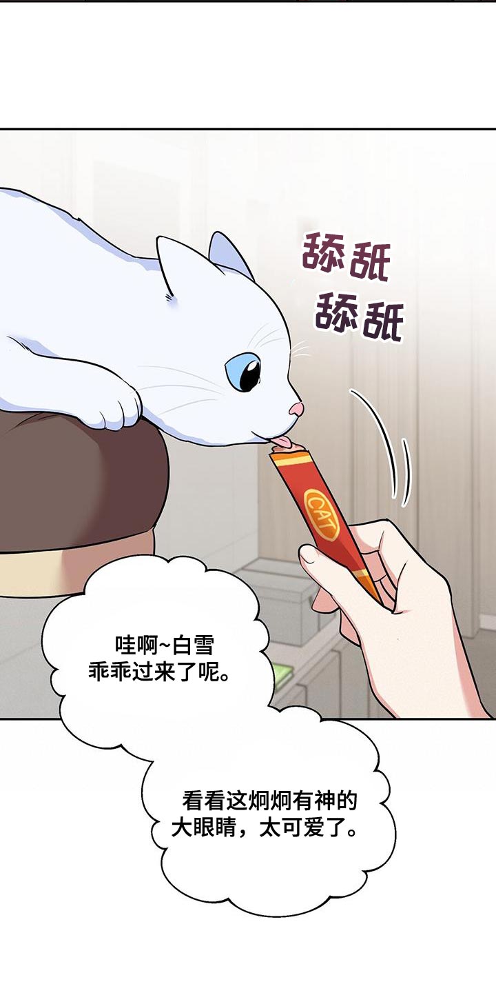 第38章：逗猫14