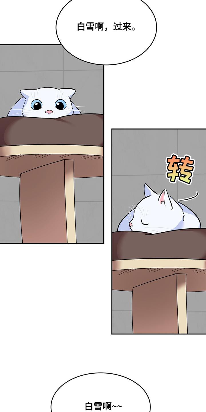 第38章：逗猫10