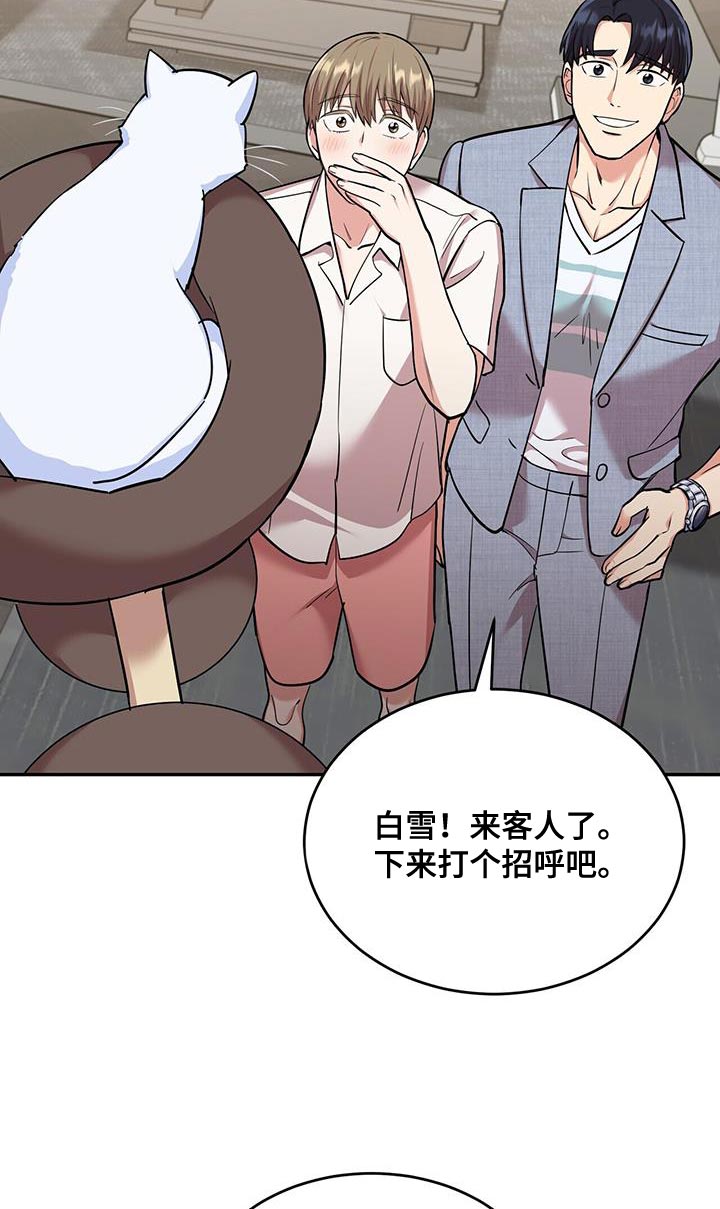 第38章：逗猫9
