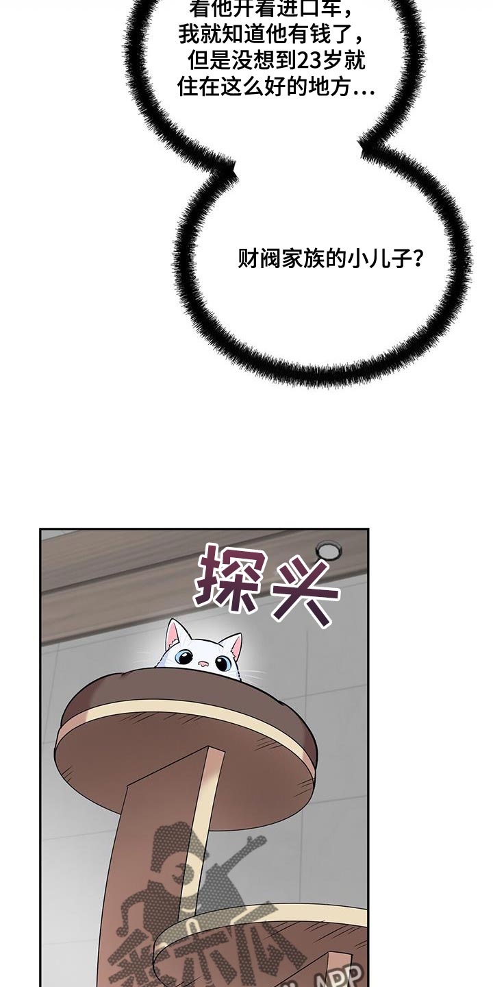 第38章：逗猫7