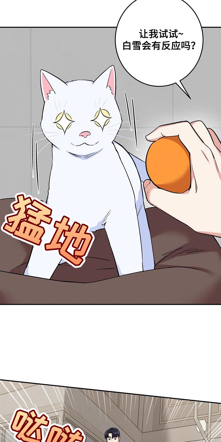 第38章：逗猫16