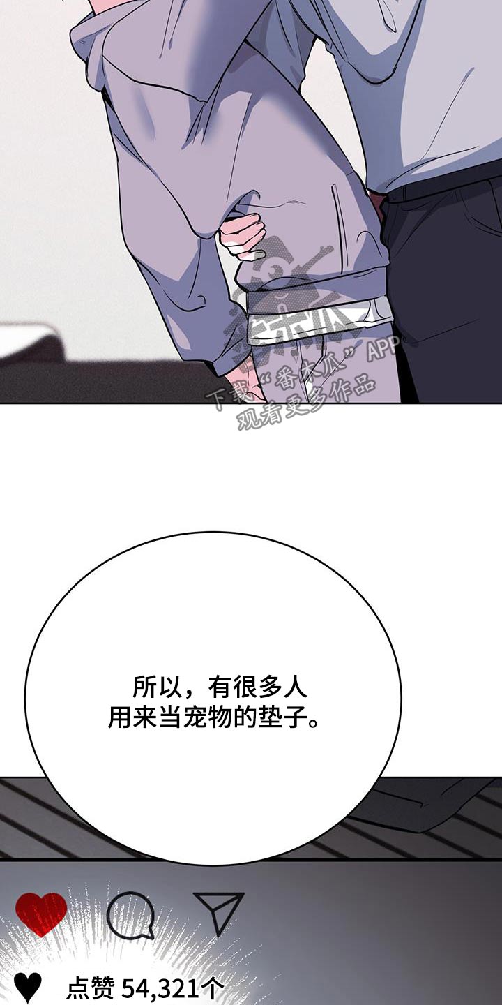 第100章：疯子20