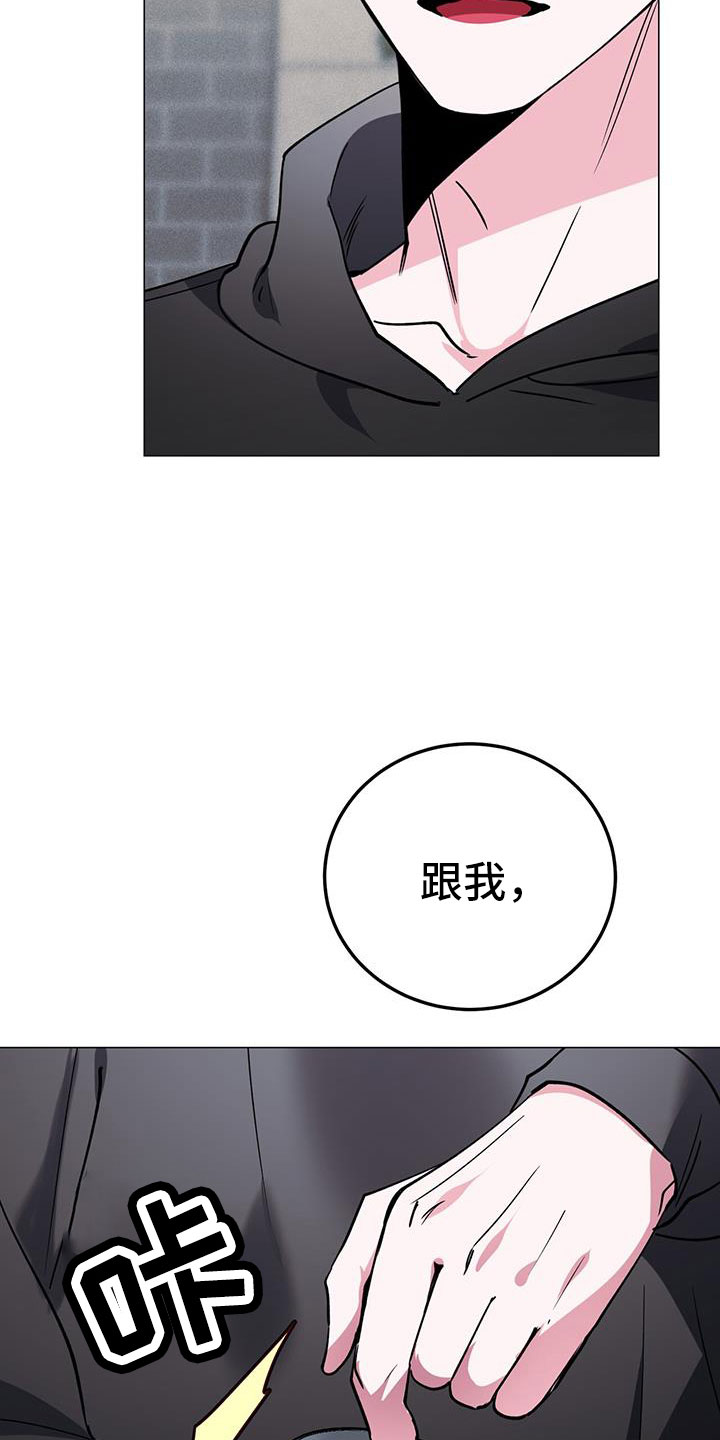 第72章：伴侣27