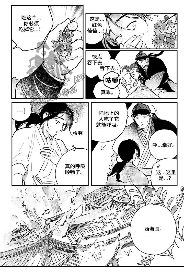 第69章：【番外】西海国9