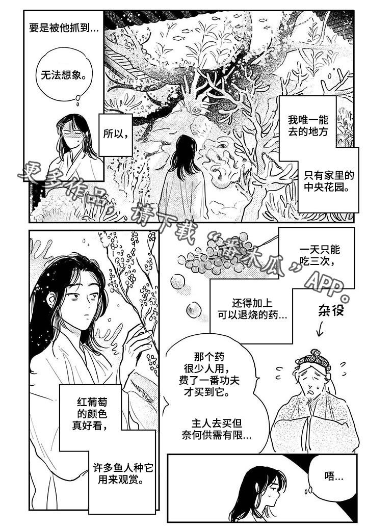 第70章：【番外】解毒10