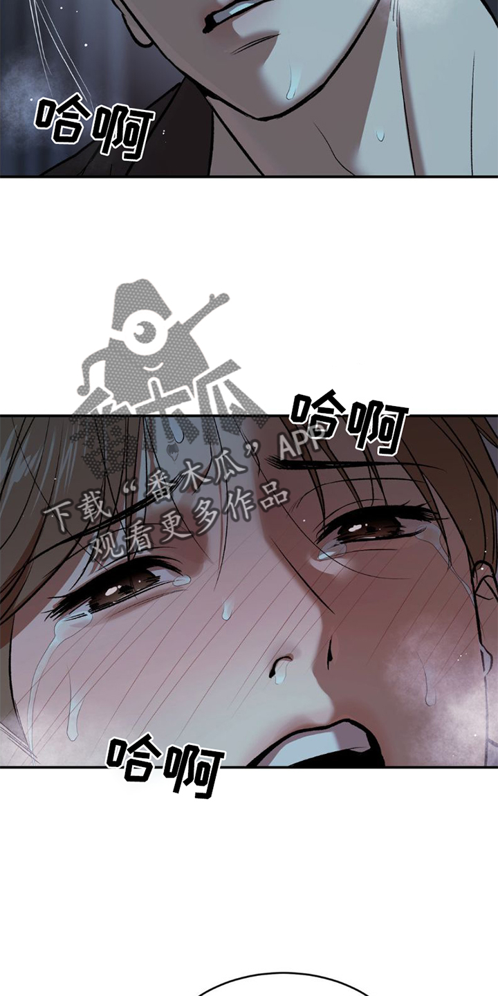 第82章：好久不见17