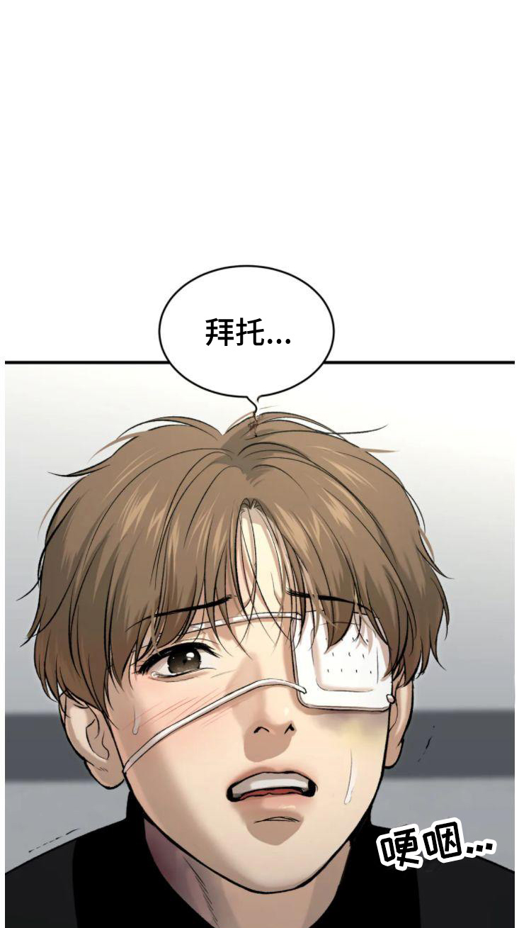 第30章：卑微的想法33