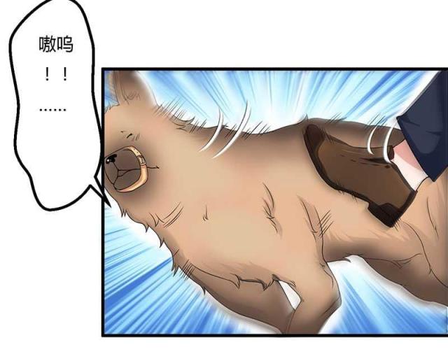 第16话5