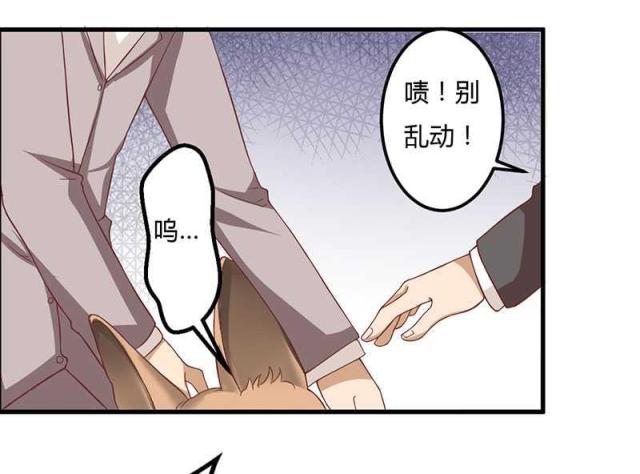 第16话17
