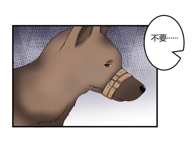第45话30