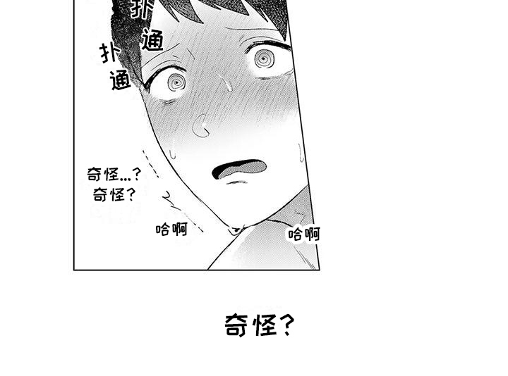 第5章：奇怪11